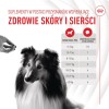 ROYAL CANIN Supplements Dog Skin & Coat Adult - dog vitamins - 240g