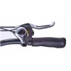 JOBOBIKE Sam - Składany Rower Elektryczny Miejski Dla Seniora 250W Szary