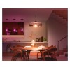 Hue WCA 13.5W A67 E27 | E27 | 13.5 W | RGBW 2000-6500K | Bluetooth and Zigbee