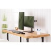 DIGITUS Dual Monitor Stand Mount