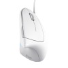 Trust Verto mouse Office Right-hand USB Type-A Optical 1600 DPI