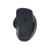 Gembird | Wireless Optical mouse | MUSW-6B-02 | Optical mouse | USB | Black