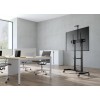 GEMBIRD Height adjustable TV floor stand