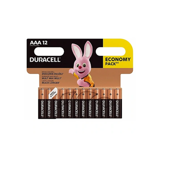 DURACELL Basic MN2400 AAA BL12 | ...