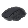 Gembird | Wireless Optical mouse | MUSW-6B-02 | Optical mouse | USB | Black