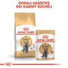 Royal Canin British Shorthair Adult cats dry food 4 kg