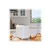 Cecotec Bread&Co 1000 Delicious bread maker