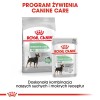 ROYAL CANIN CCN Mini Digestive Care - dry dog food - 3 kg