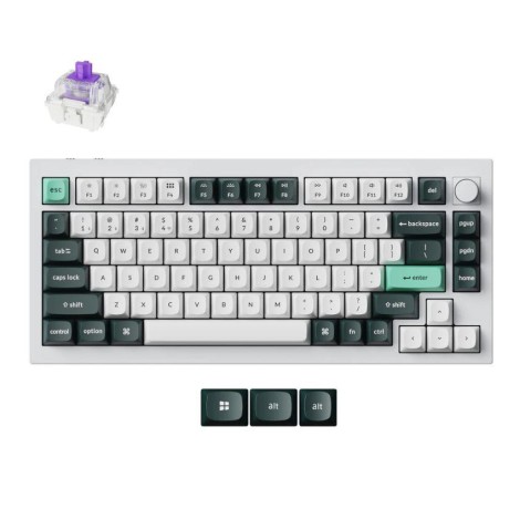 KEYBOARD WRL Q1 HE RGB/SHELL WHITE Q1H-P1 KEYCHRON