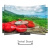 TV Set|THOMSON|55