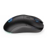 MOUSE USB OPTICAL WRL GEM PLUS/BLACK EY6A013 ENDORFY