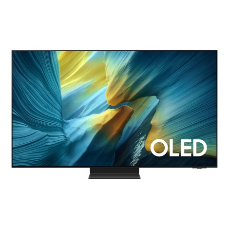 SAMSUNG TV OLED 55in QE55S95FATXXH