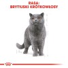 ROYAL CANIN British Shorthair packet 12x85g