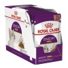 Karma Royal Canin Sensory Smell gravy 12x85g