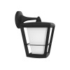 Philips Hue WCA Econic Outdoor Wall Lantern | 15 W | 2000-6500 Hue White Colour Ambiance