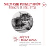 ROYAL CANIN Ageing 15+ - dry cat food - 4kg