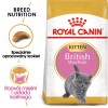 Royal Canin British Shorthair Kitten cats dry food 2 kg Poultry, Rice, Vegetable