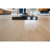 Philips | Vacuum Cleaner | FC9747/09 PowerPro Expert | Bagless | Power 900 W | Dust capacity 2 L | Black