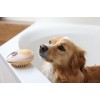 KERBL MagicBrush Bath Brush for Dogs and Cats with 100 ml Container - 11.5x7.5 cm