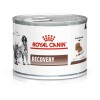 ROYAL CANIN Recovery Wet dog and cat food Mousse Poultry, Pork 195 g