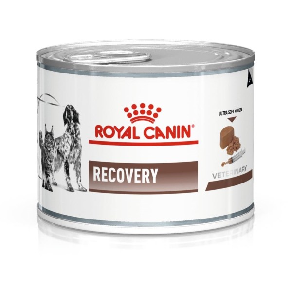 ROYAL CANIN Recovery Wet dog and ...