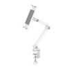 TABLET ACC STAND WHITE/DS15-545WH1 NEOMOUNTS