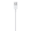 Apple Lightning to USB Cable (1В m)