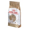 Royal Canin Sphynx dry cat food 2 kg