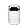MOSQUITO TRAP PICTORIS/COP001121 STYLIES