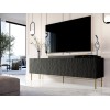 RTV JUNGLE cabinet 190x40.5x59.5 black matt + golden legs