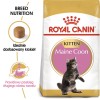 ROYAL CANIN Maine coon FBN Kitten - dry cat food - 400g