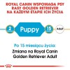 ROYAL CANIN Golden Retriever Puppy - dry dog food - 12 kg